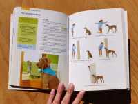 101 psích triků - Image 3