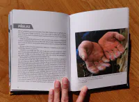 Adam Ondra - Image 5