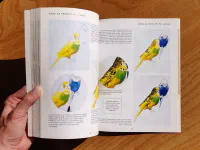 Akvarelová malba pro začátečníky - Image 6