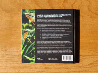 Aquascaping - Image 4