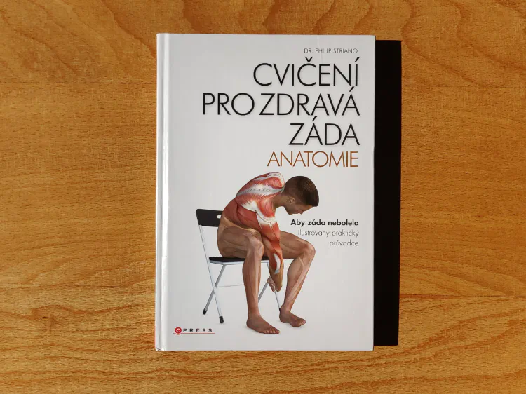 Cvičení pro zdravá záda - anatomie