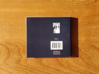 Nirvana, Bleach - Image 2