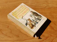 Podivuhodná cesta Nilse Holgerssona Švédskem - Image 1