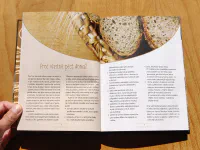 Ruce v mouce - Image 4