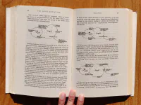 The Fifth Discipline - Image 3