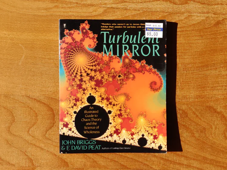 Turbulent Mirror