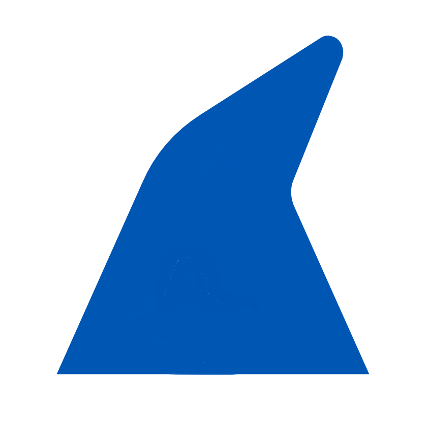 pidiantikvariat.cz favicon
