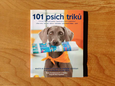 101 psích triků
