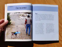 101 psích triků - Image 4