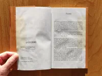 Zaříkávač nemocí. Mým marodům. Příběhy obyčejného uzdravení - Image 1