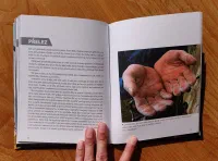 Adam Ondra - Image 5