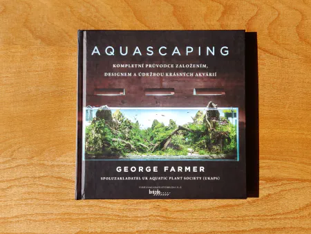 Aquascaping
