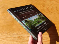 Aquascaping - Image 3