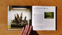 Aquascaping - Image 6