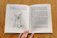 Bob a Bobek, králící z klobouku - Image 3