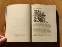 Černý šíp - Image 3