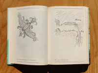 Cesta slepých ptáků. Runa rider. Sluneční jezero - Image 6