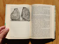 Cesta slepých ptáků. Runa rider. Sluneční jezero - Image 3