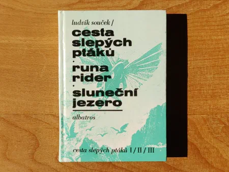 Cesta slepých ptáků. Runa rider. Sluneční jezero