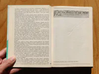 Cesta slepých ptáků. Runa rider. Sluneční jezero - Image 2