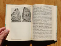 Cesta slepých ptáků. Runa rider. Sluneční jezero - Image 3