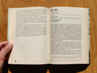 Cesta slepých ptáků. Runa rider. Sluneční jezero - Image 4