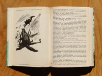 Cesta slepých ptáků. Runa rider. Sluneční jezero - Image 5