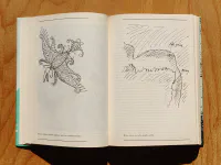 Cesta slepých ptáků. Runa rider. Sluneční jezero - Image 6