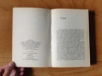 Chaos - Image 2