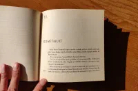 Čirá anarchie - Image 4