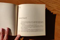 Čirá anarchie - Image 4