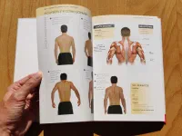 Cvičení pro zdravá záda - anatomie - Image 9