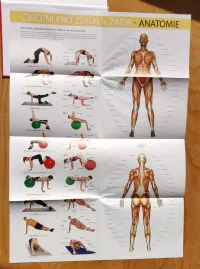 Cvičení pro zdravá záda - anatomie - Image 3