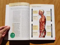 Cvičení pro zdravá záda - anatomie - Image 6