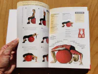 Cvičení pro zdravá záda - anatomie - Image 8