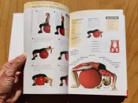 Cvičení pro zdravá záda - anatomie - Image 8