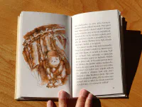 Dlouhá pouť do Santa Cruz - Image 3