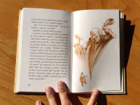 Dlouhá pouť do Santa Cruz - Image 5