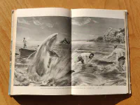 Hadí ostrov - Image 3