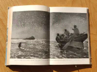 Hadí ostrov - Image 5