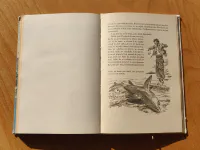 Hadí ostrov - Image 6