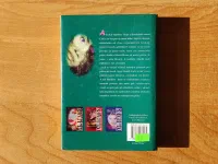 Jack a fazole - Image 2