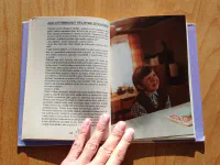 Jak vytrhnout velrybě stoličku. Jak dostat tatínka do polepšovny. - Image 2