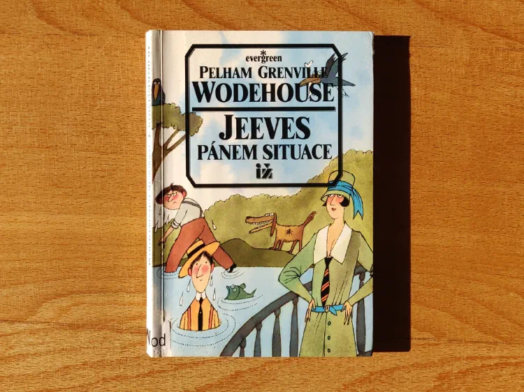 Jeeves pánem situace