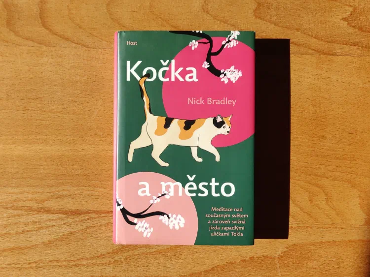 Kočka a město