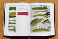 Krása z papíru - Image 9