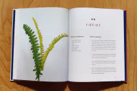 Krása z papíru - Image 10