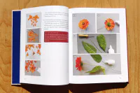 Krása z papíru - Image 12