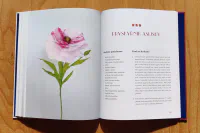 Krása z papíru - Image 4