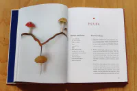 Krása z papíru - Image 6